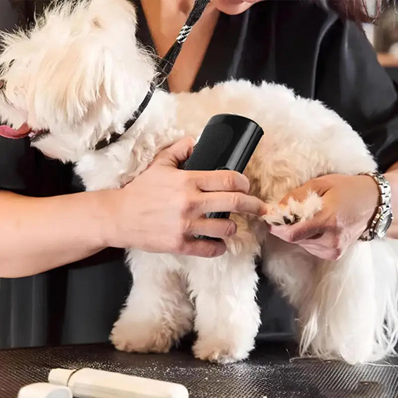 Perie profesională pentru îndepărtarea părului de animale – Multifuncțională, ergonomică, pentru câini și pisici.